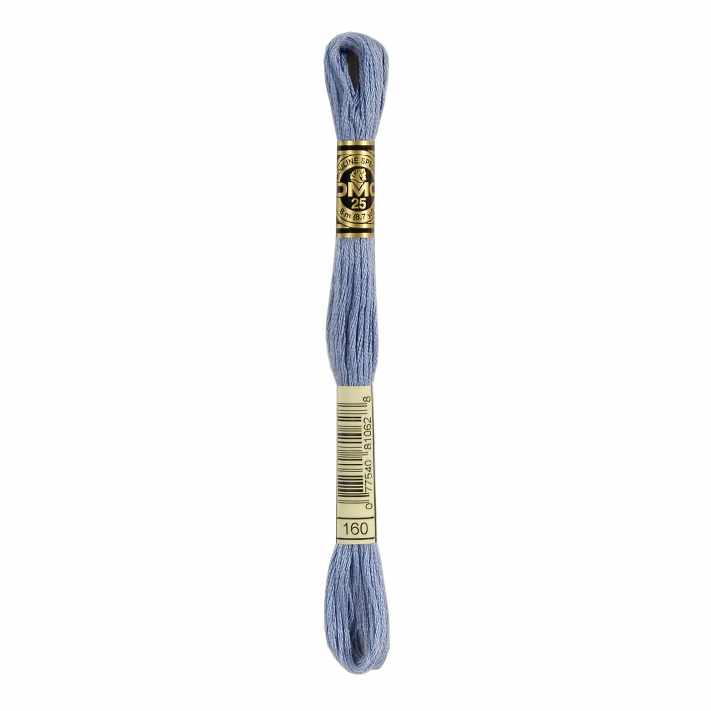 DMC Mouliné Spécial Embroidery Thread - 160