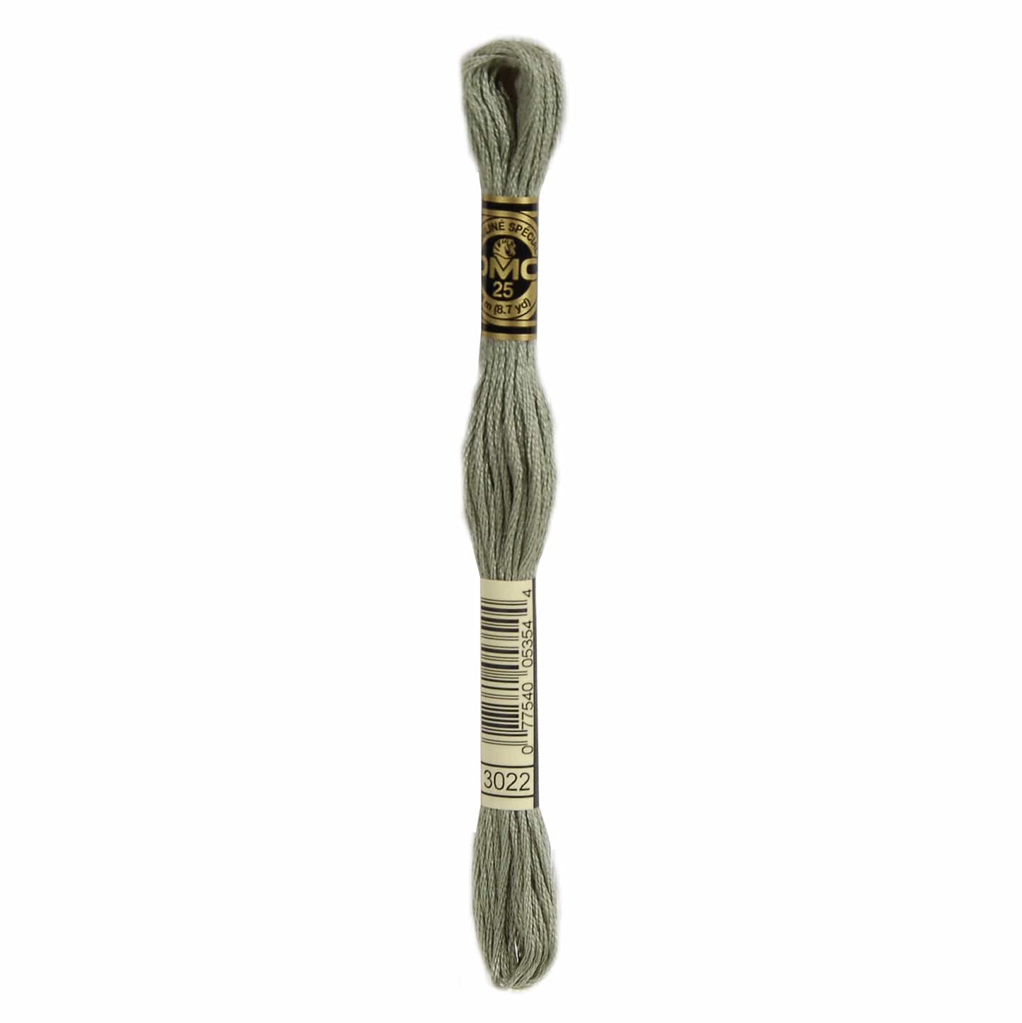 DMC Mouliné Spécial Embroidery Thread - 3022
