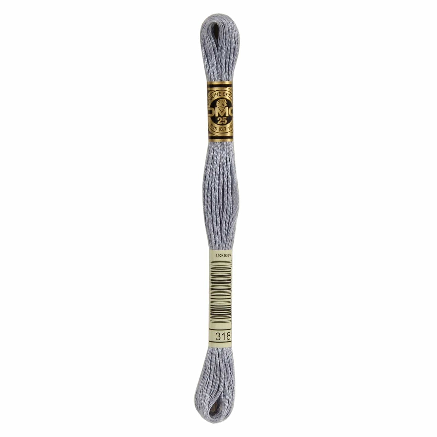 DMC Mouliné Spécial Embroidery Thread - 318