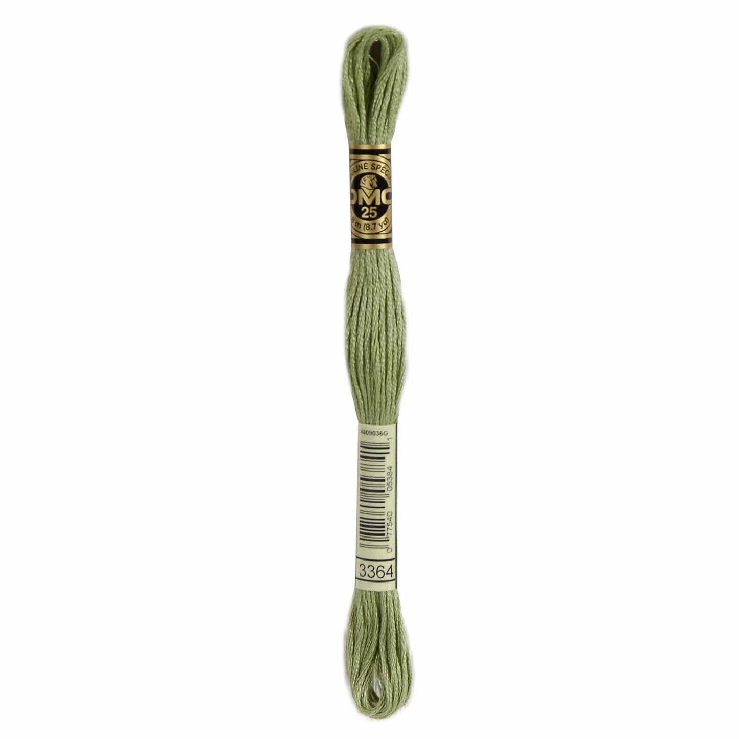 DMC Mouliné Spécial Embroidery Thread - 3364