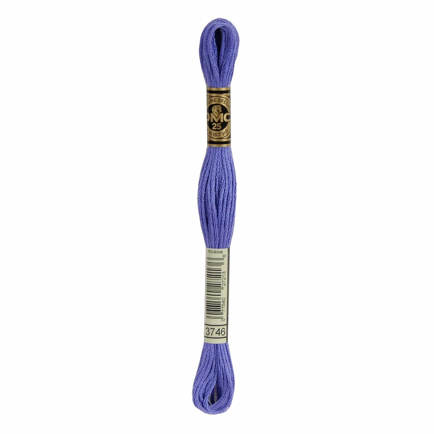 DMC Mouliné Spécial Embroidery Thread - 3746