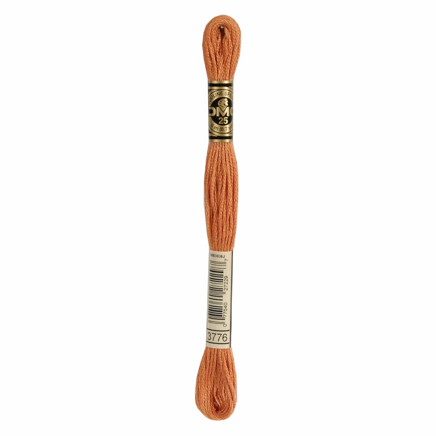 DMC Mouliné Spécial Embroidery Thread - 3776