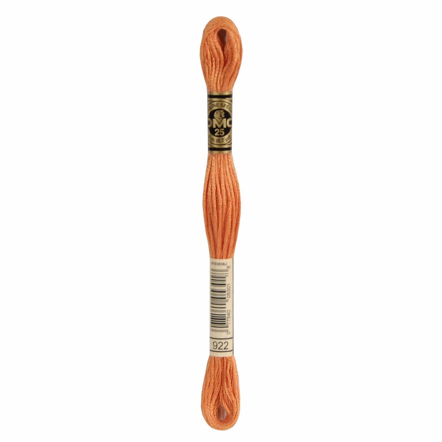 DMC Mouliné Spécial Embroidery Thread - 922