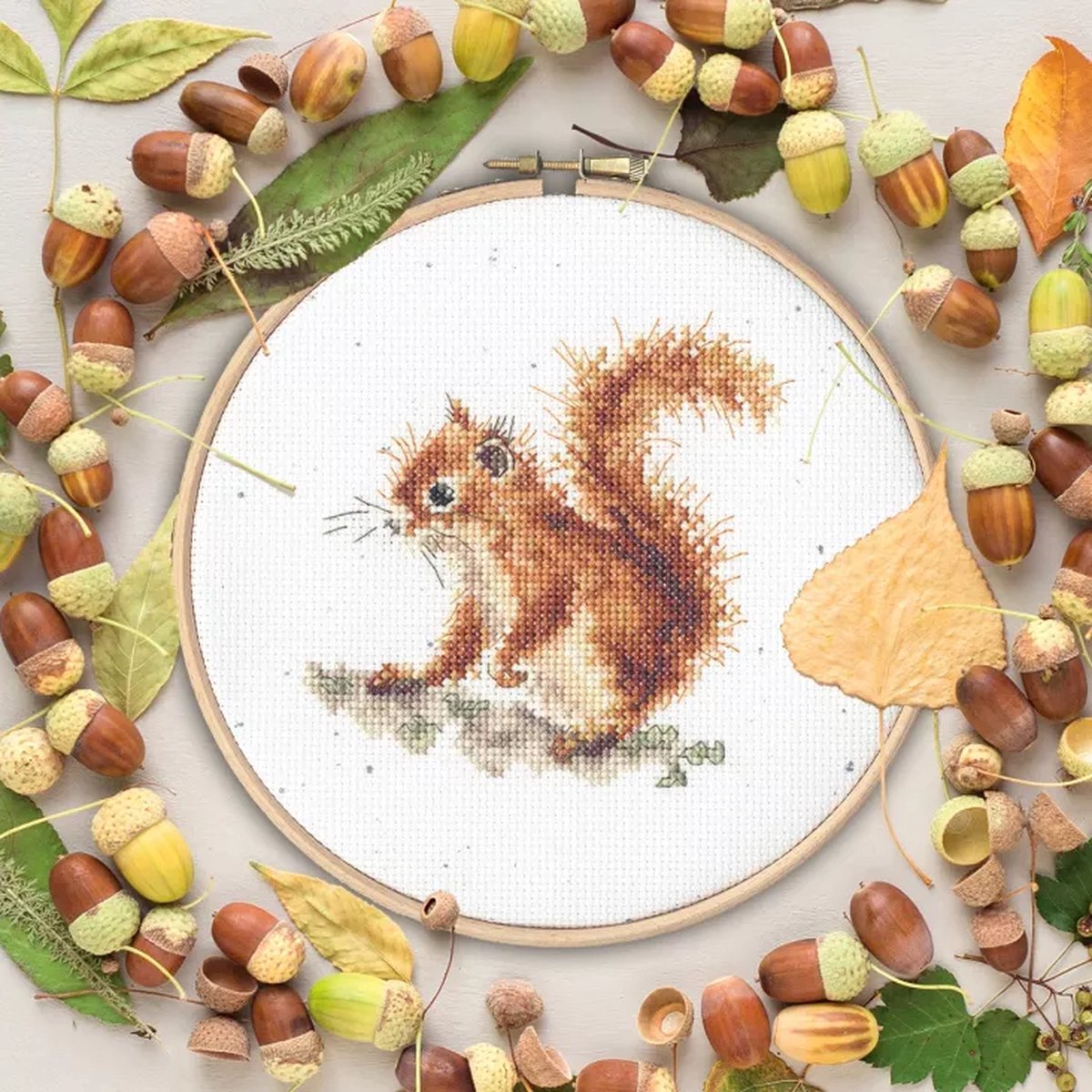 Kit de broderie - Glands XHD116