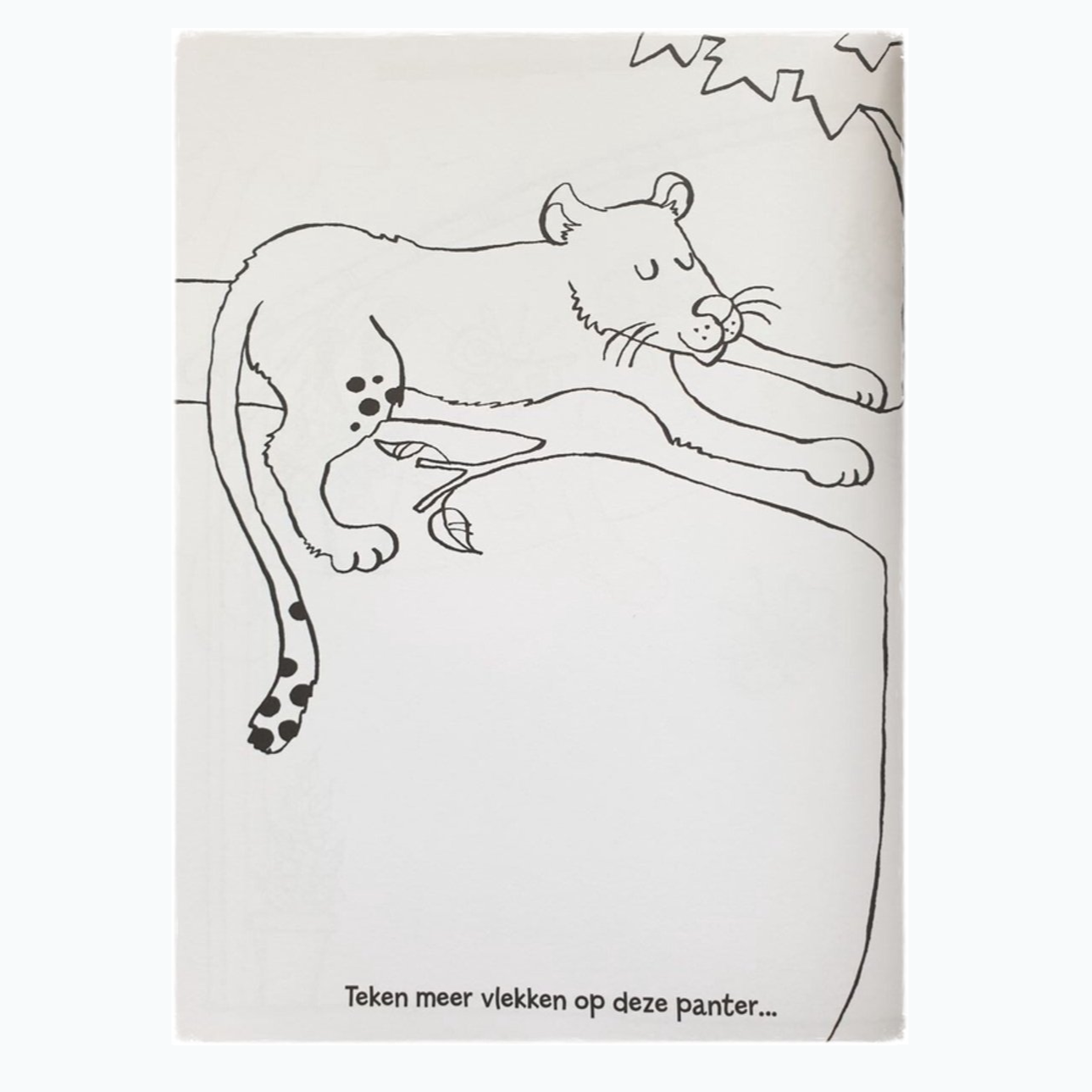 Coloring and Drawing Book - Doodle Zoo