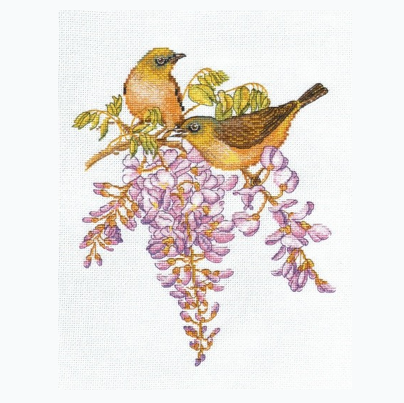 Embroidery kit - White-Eyed Birds S945