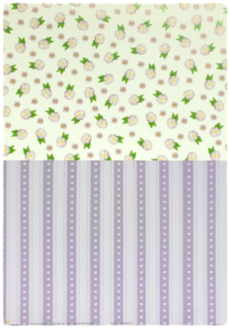 Basisvel - Fairy Dreams - N° 01