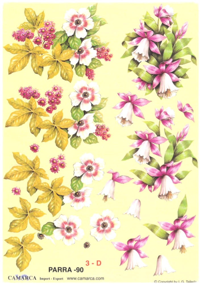 3D Knipvel - Bloemen - Parra 90