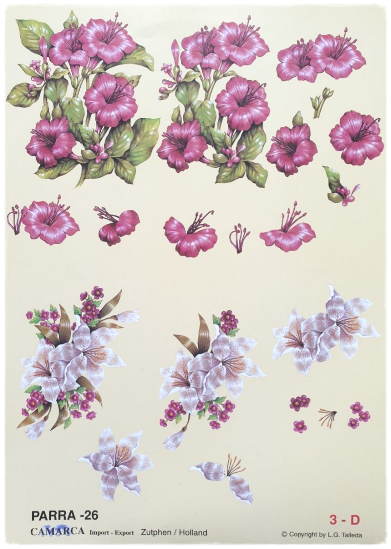 3D Cutting Sheet - Flowers - Parra 26