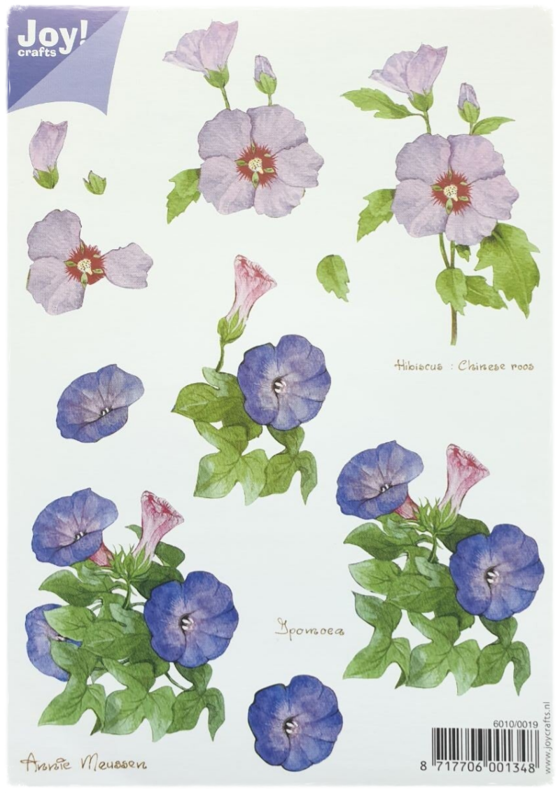 Feuille de découpe 3D - Fleurs A5 - 6010/0019