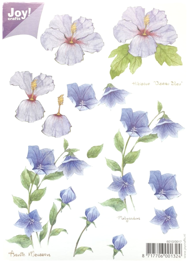 3D Knipvel - Bloemen A5 - 6010/0017