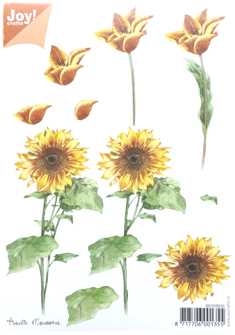 Feuille de découpe 3D - Fleurs A5 - 6010/0020