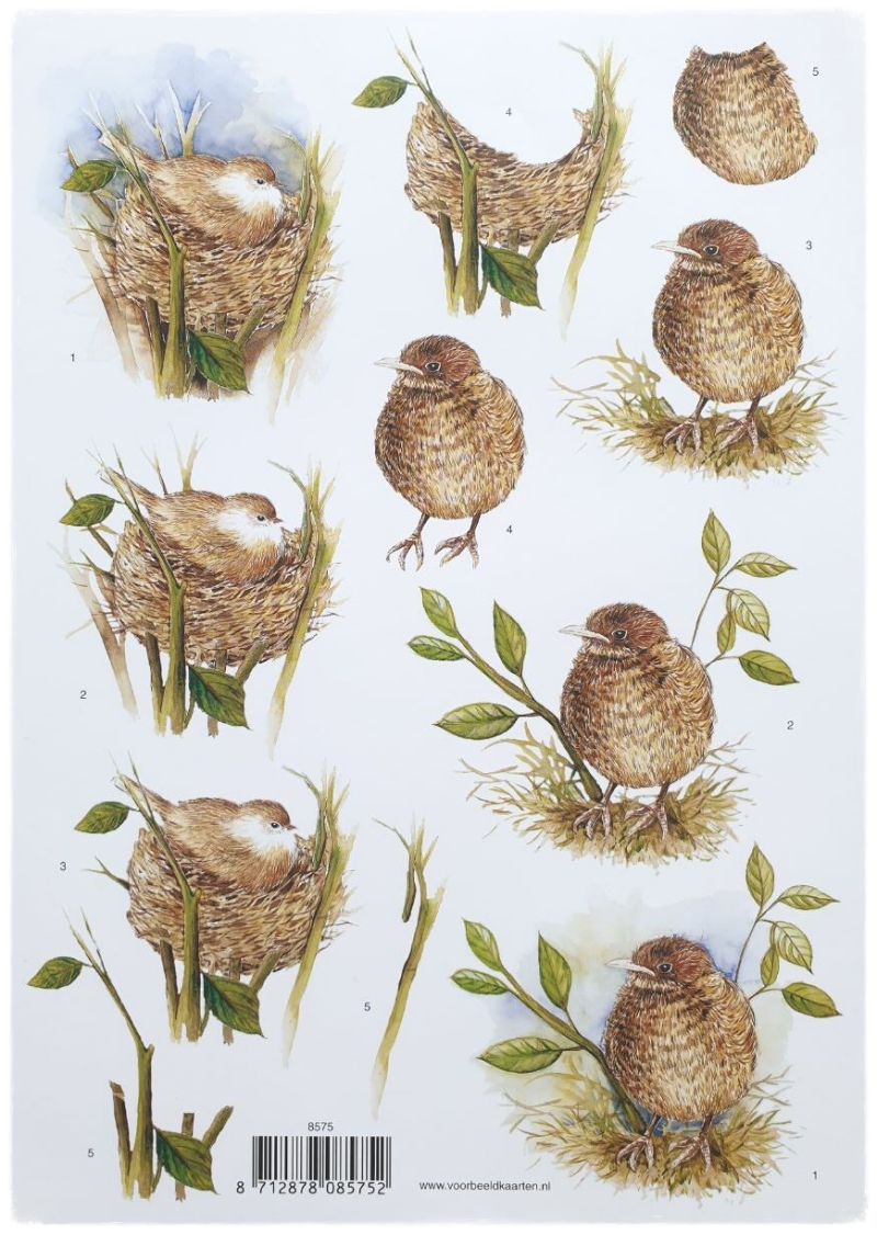 3D Knipvel - Vogels in hun Nest - 8575