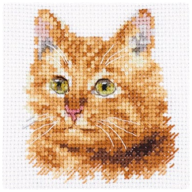 Borduurpakket - Animal Portraits: Ginger Cat