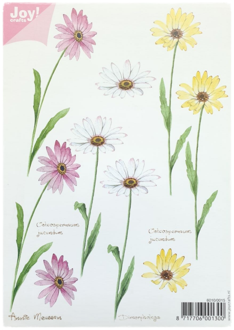 3D Knipvel - Bloemen A5 - 6010/0015