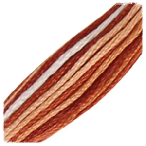 DMC Mouliné Spécial Borduurgaren VARIEGATED - 69