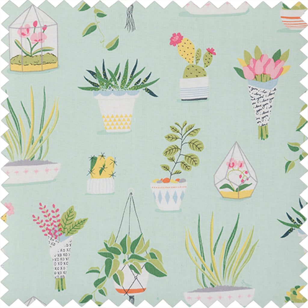 Speldenkussen Plant Life