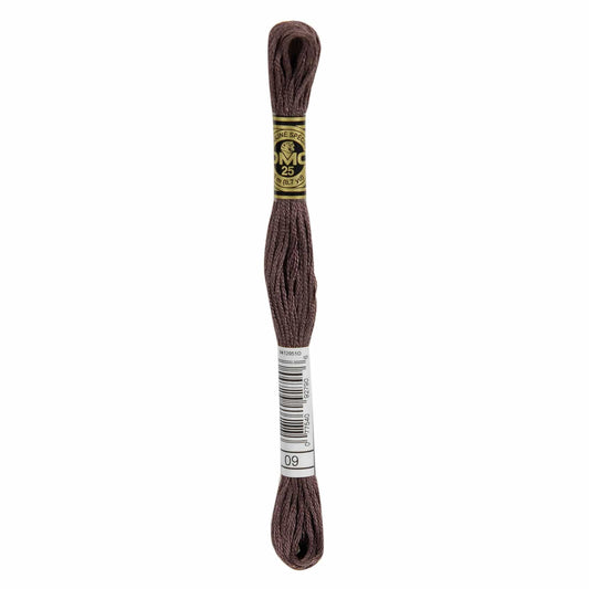 DMC Mouliné Spécial Embroidery Thread - 09