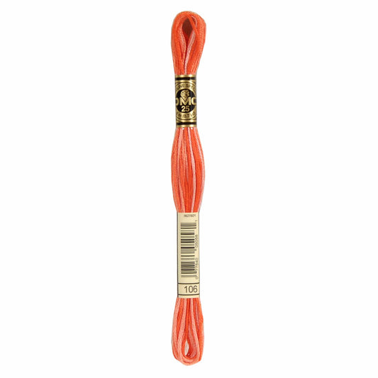 DMC Mouliné Spécial Embroidery Thread VARIEGATED - 106
