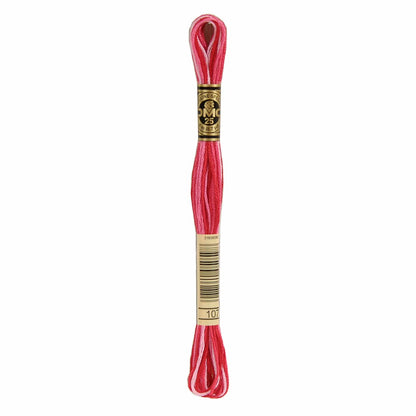 DMC Mouliné Spécial Embroidery Thread VARIEGATED - 107