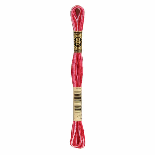 DMC Mouliné Spécial Embroidery Thread VARIEGATED - 107