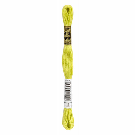 DMC Mouliné Spécial Embroidery Thread - 12