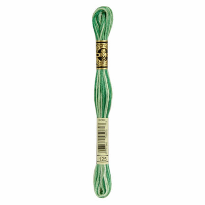 DMC Mouliné Spécial Embroidery Thread VARIEGATED - 125