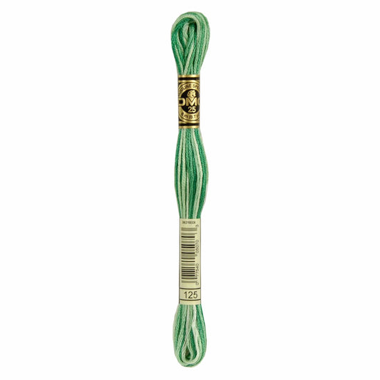 DMC Mouliné Spécial Embroidery Thread VARIEGATED - 125