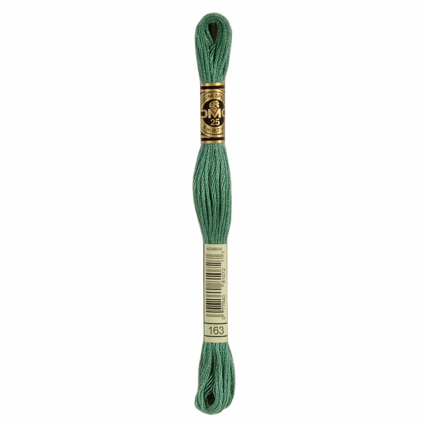 DMC Mouliné Spécial Embroidery Thread - 163