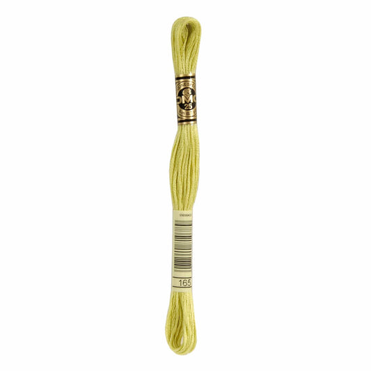 DMC Mouliné Spécial Embroidery Thread - 165