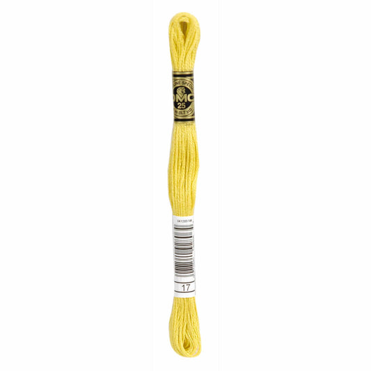 DMC Mouliné Spécial Embroidery Thread - 17