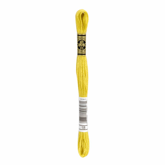 DMC Mouliné Spécial Embroidery Thread - 18