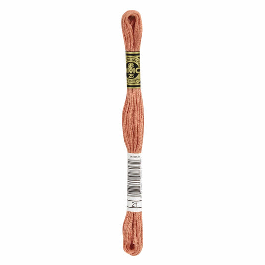 DMC Mouliné Spécial Embroidery Thread - 21