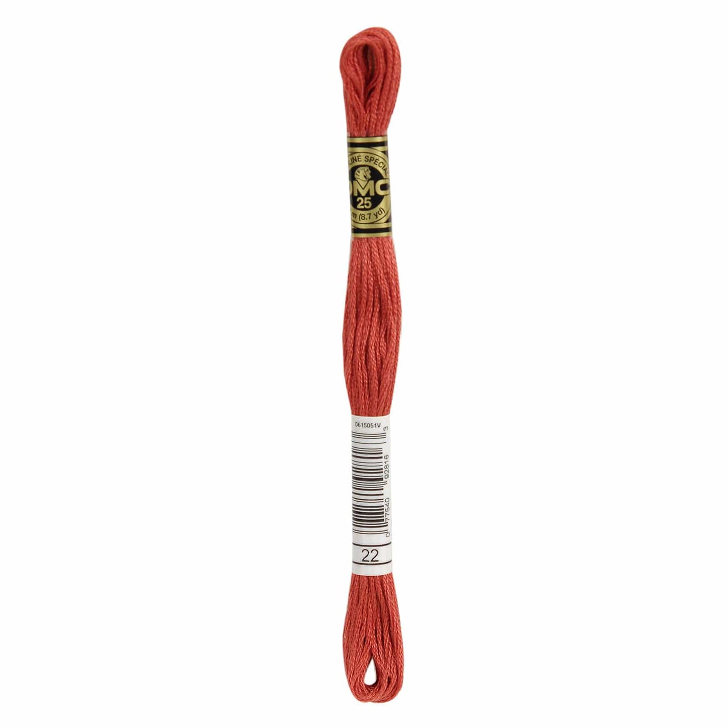 DMC Mouliné Spécial Embroidery Thread - 22