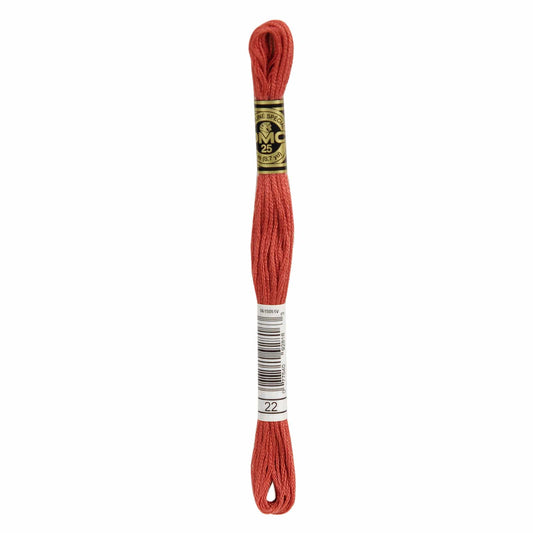 DMC Mouliné Spécial Embroidery Thread - 22