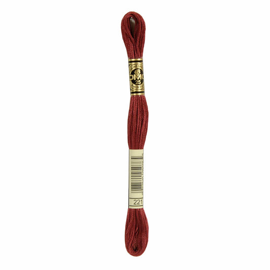 DMC Mouliné Spécial Embroidery Thread - 221