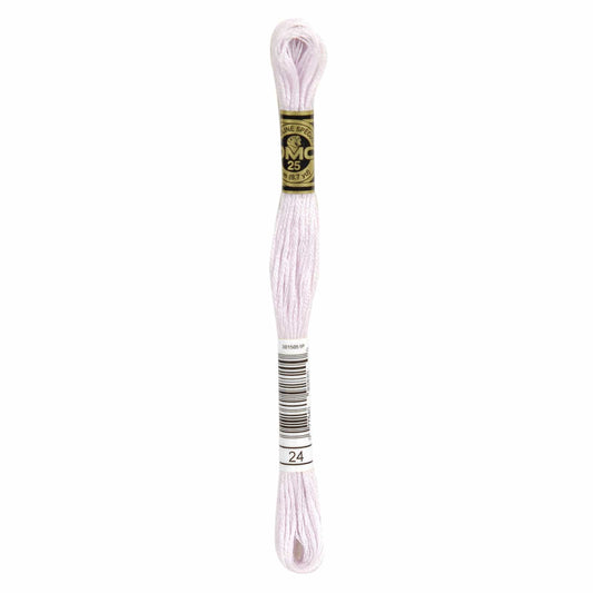 DMC Mouliné Spécial Embroidery Thread - 24