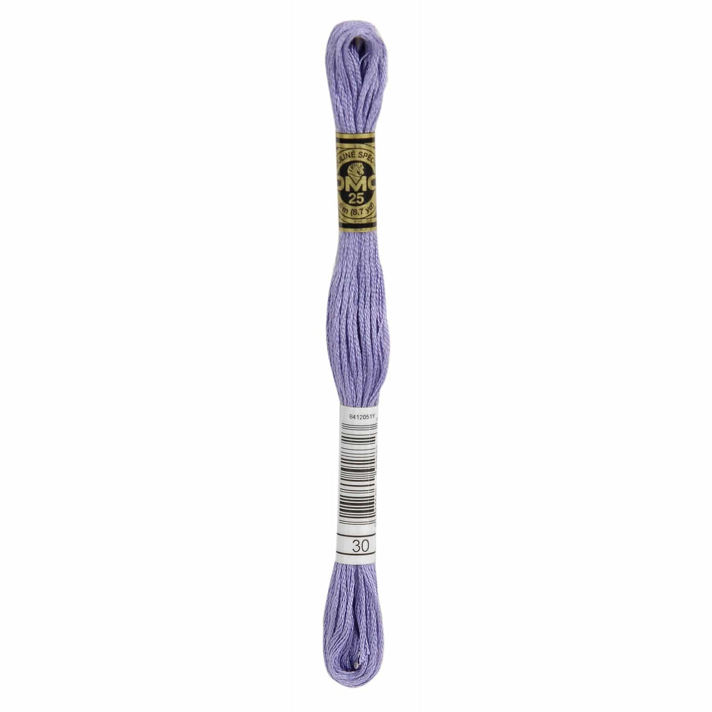 DMC Mouliné Spécial Embroidery Thread - 30