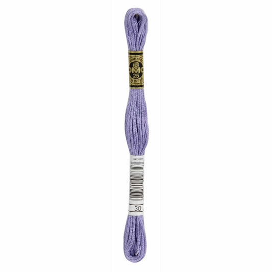 DMC Mouliné Spécial Embroidery Thread - 30