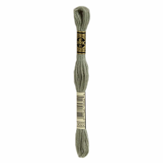 DMC Mouliné Spécial Borduurgaren - 3022