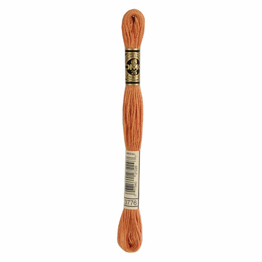 DMC Mouliné Spécial Embroidery Thread - 3776