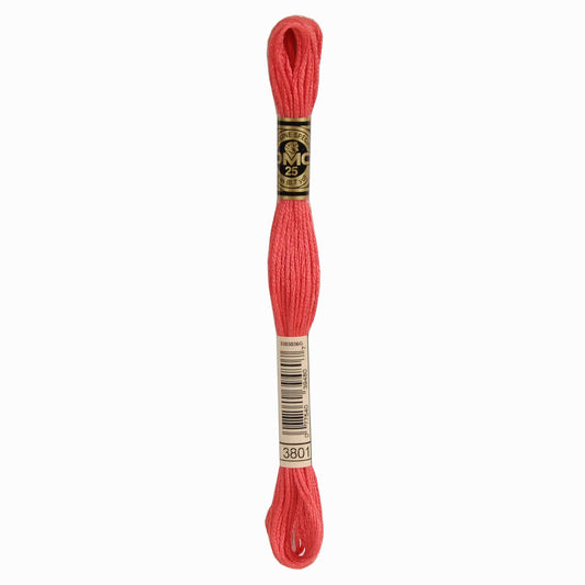 DMC Mouliné Spécial Embroidery Thread - 3801