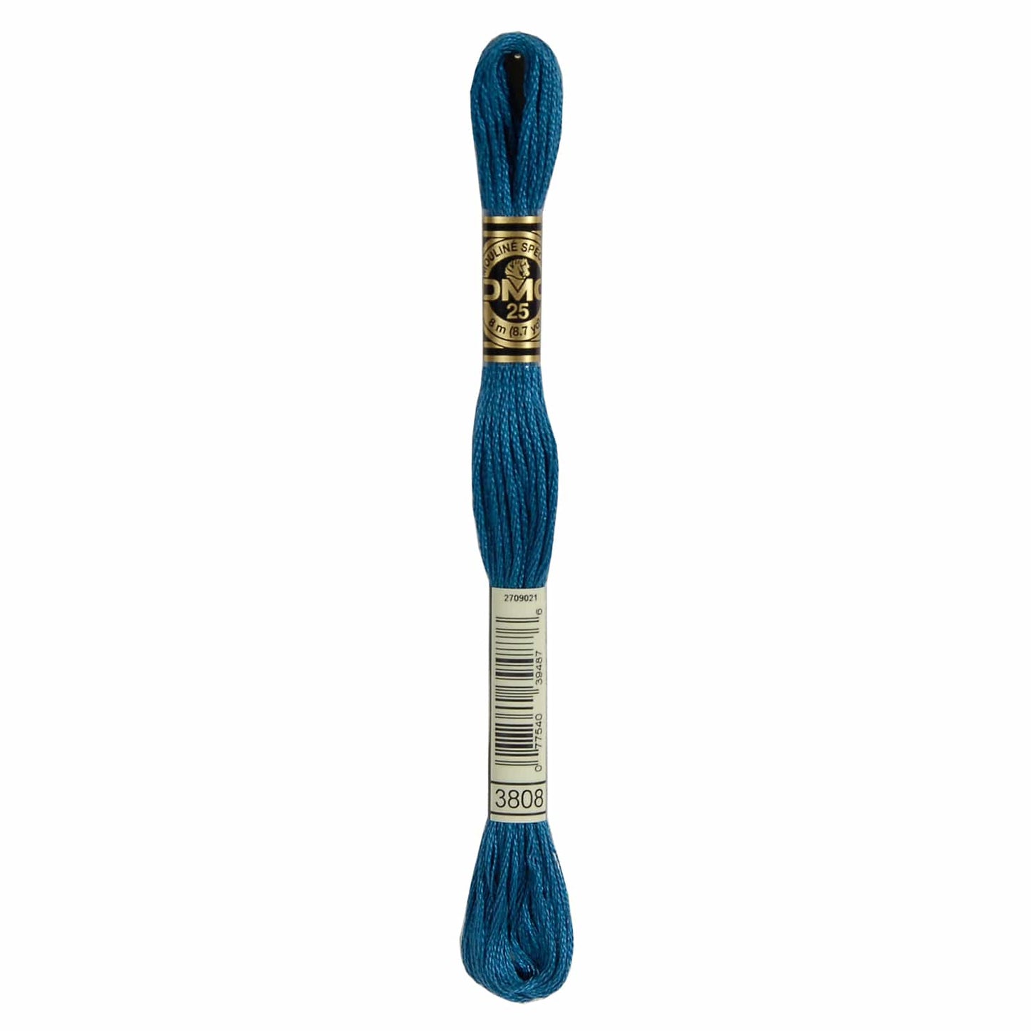 DMC Mouliné Spécial Embroidery Thread - 3808