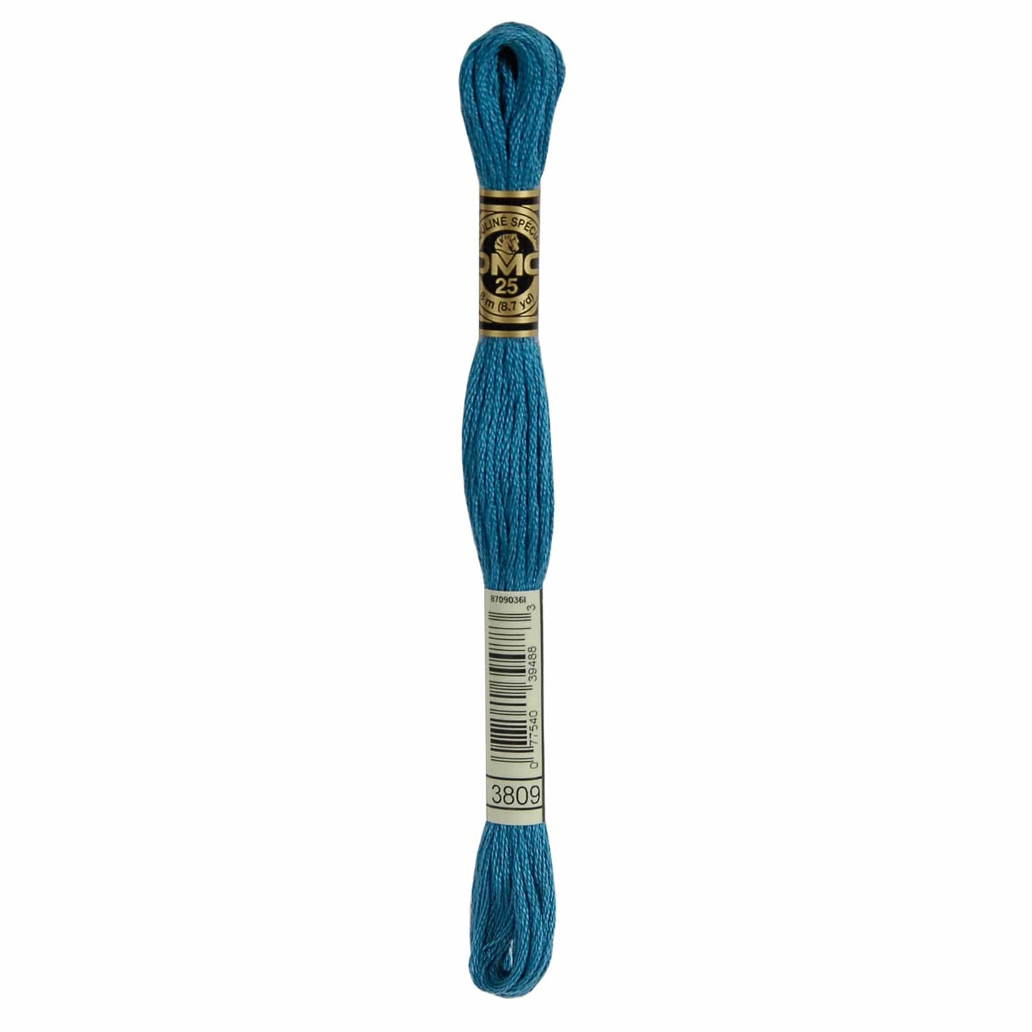 DMC Mouliné Spécial Embroidery Thread - 3809