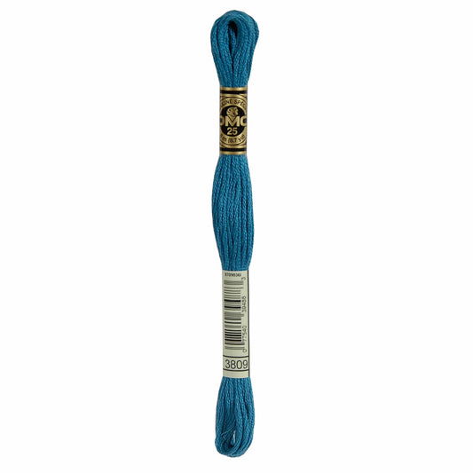 DMC Mouliné Spécial Embroidery Thread - 3809