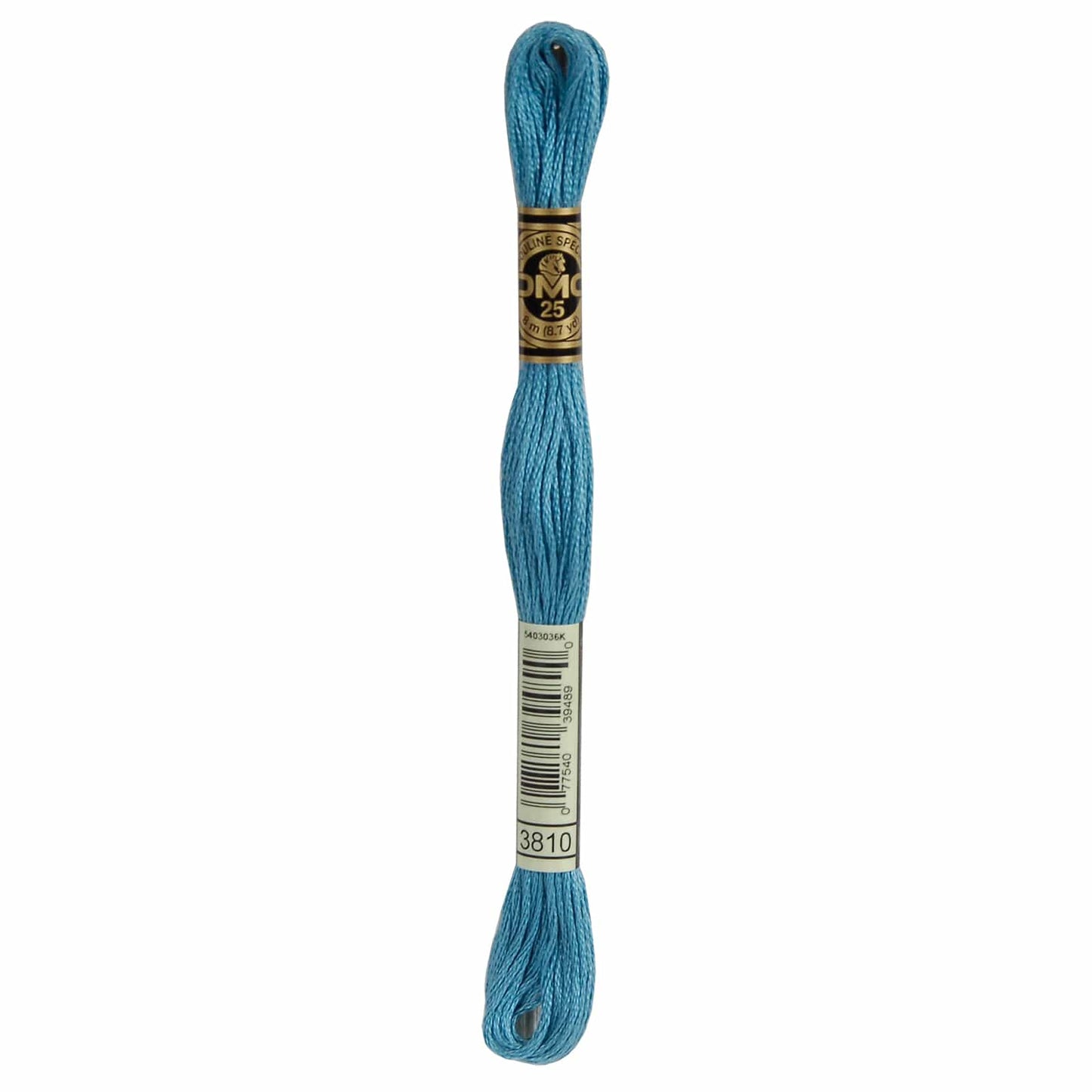 DMC Mouliné Spécial Embroidery Thread - 3810