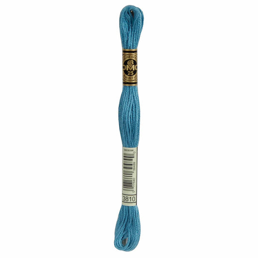 DMC Mouliné Spécial Embroidery Thread - 3810