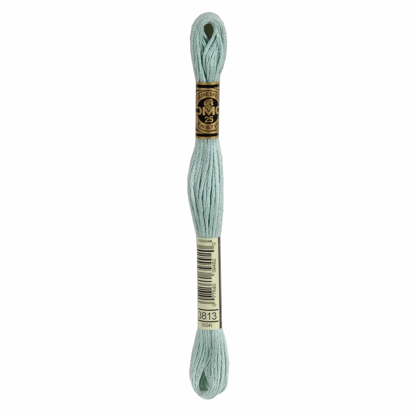 DMC Mouliné Spécial Embroidery Thread - 3813