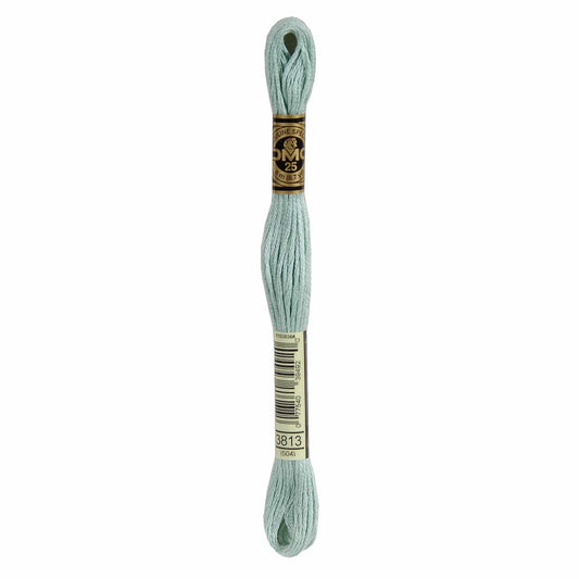 DMC Mouliné Spécial Embroidery Thread - 3813