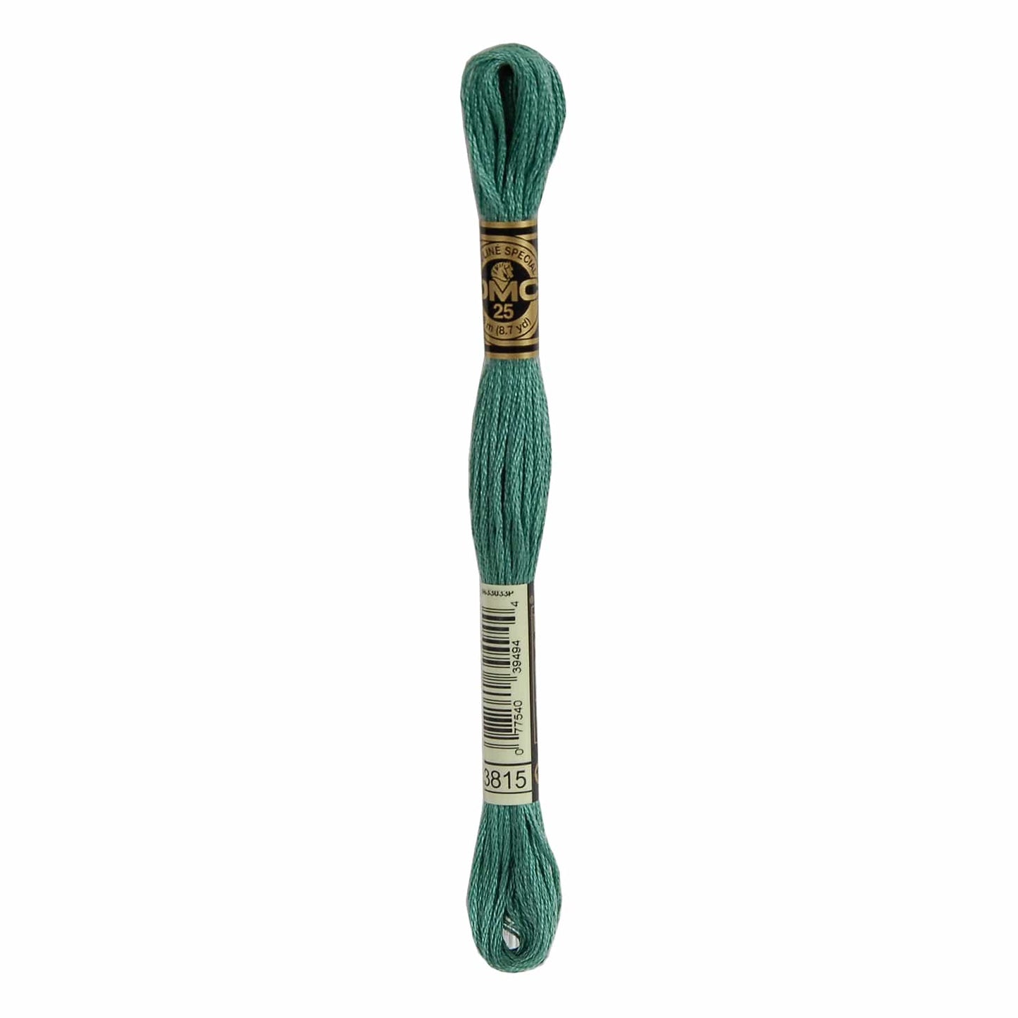 DMC Mouliné Spécial Embroidery Thread - 3815